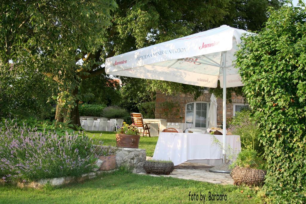 Boutique B&B Stancija 1904 Adults Only Svetvinčenat Habitación foto
